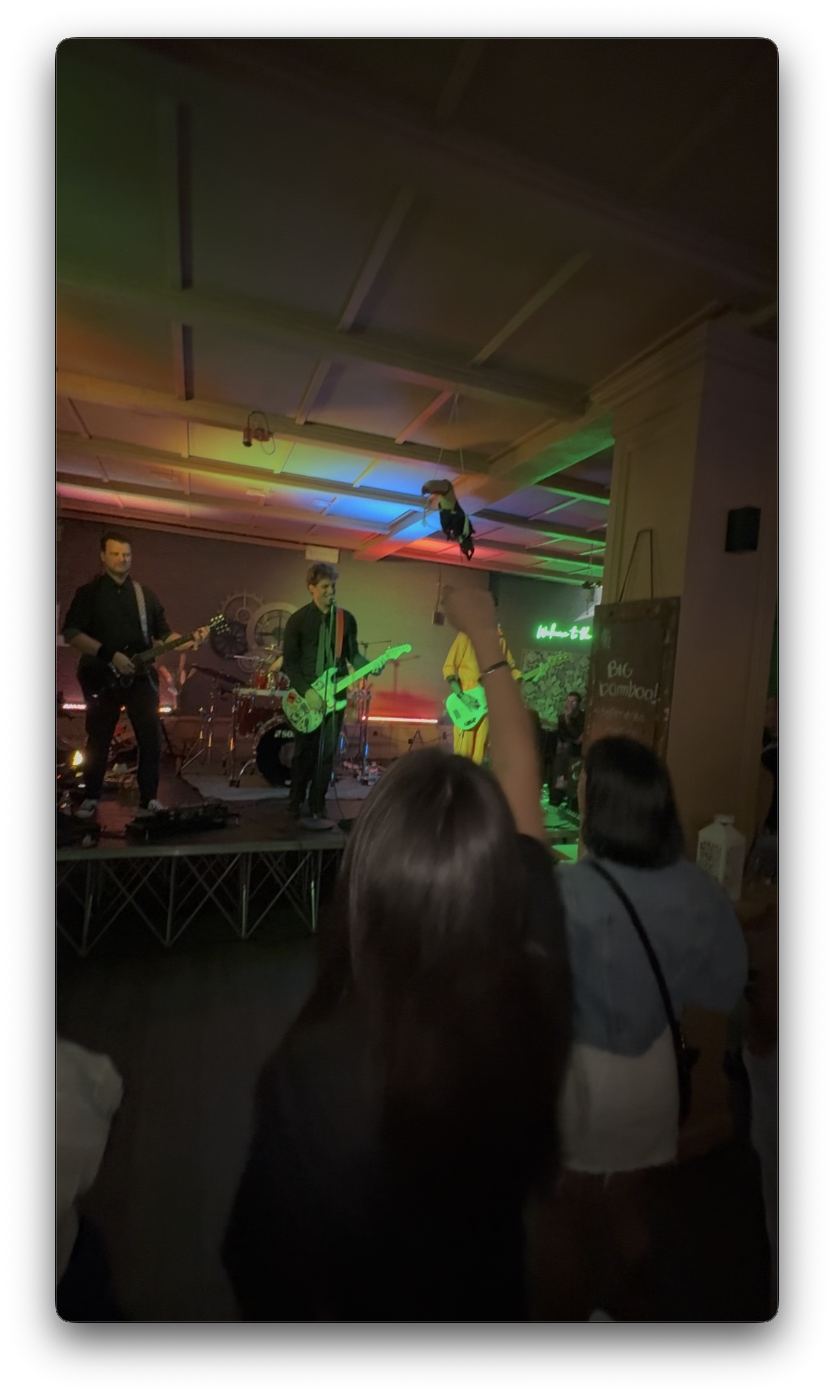Green Paradise live - Screenshot 2026 10 01 alle 13.05.47